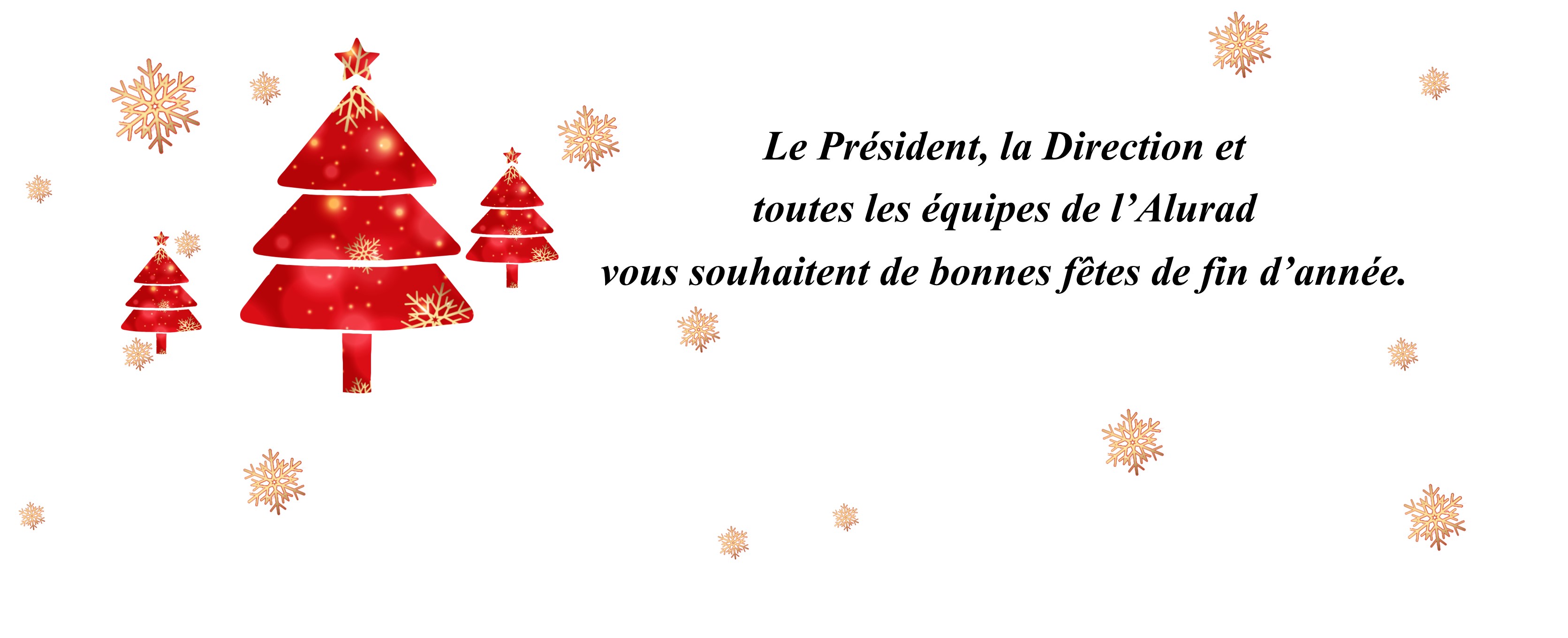 Toutes les équipes de l'Alurad vous souhaitent de bonnes fêtes de fin d'année